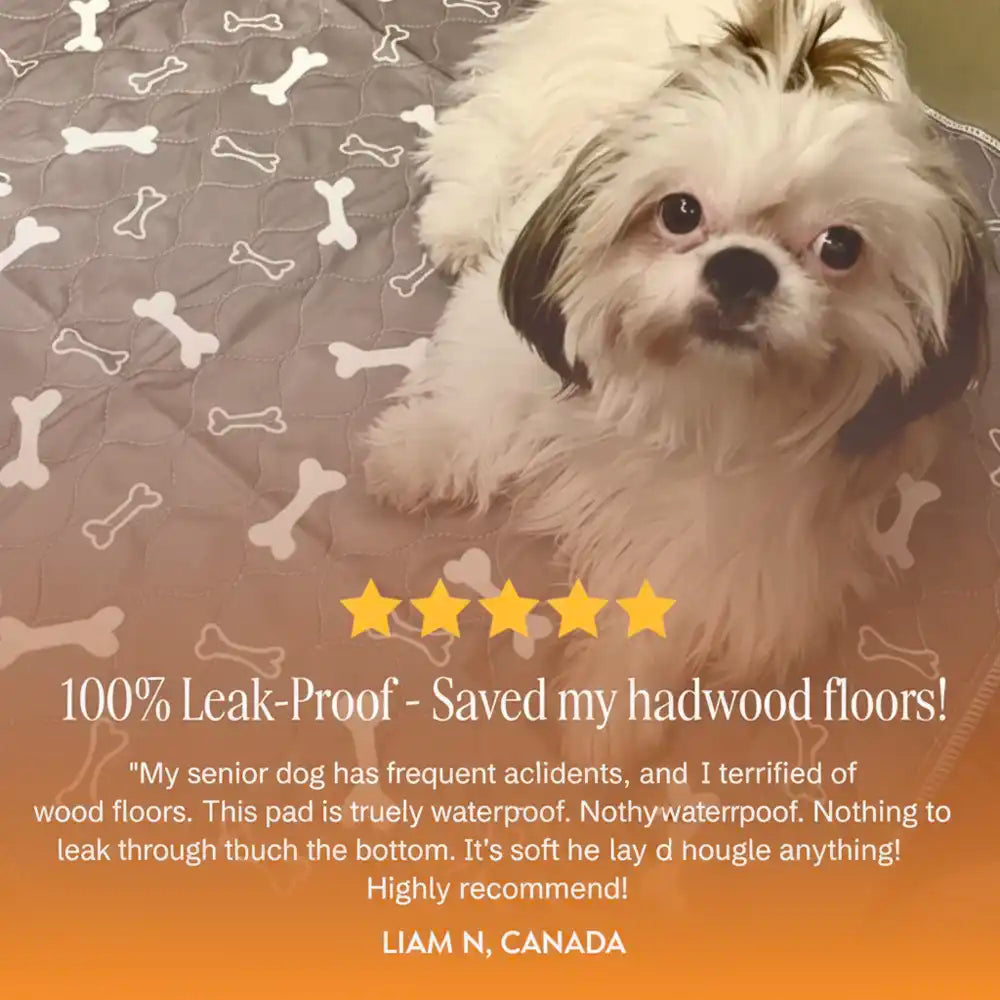 DogCats™ Insta-Dry Bio-Mat (Odor-Lock Tech)