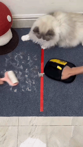 Pro Instant Pet Hair Removal Glove