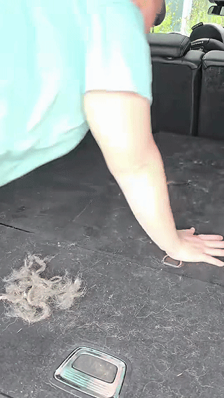 Pro Instant Pet Hair Removal Glove