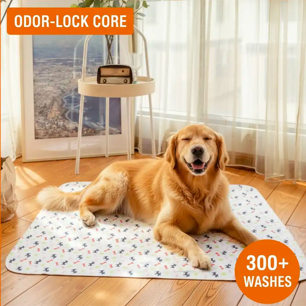 DogCats™ Insta-Dry Bio-Mat (Odor-Lock Tech)