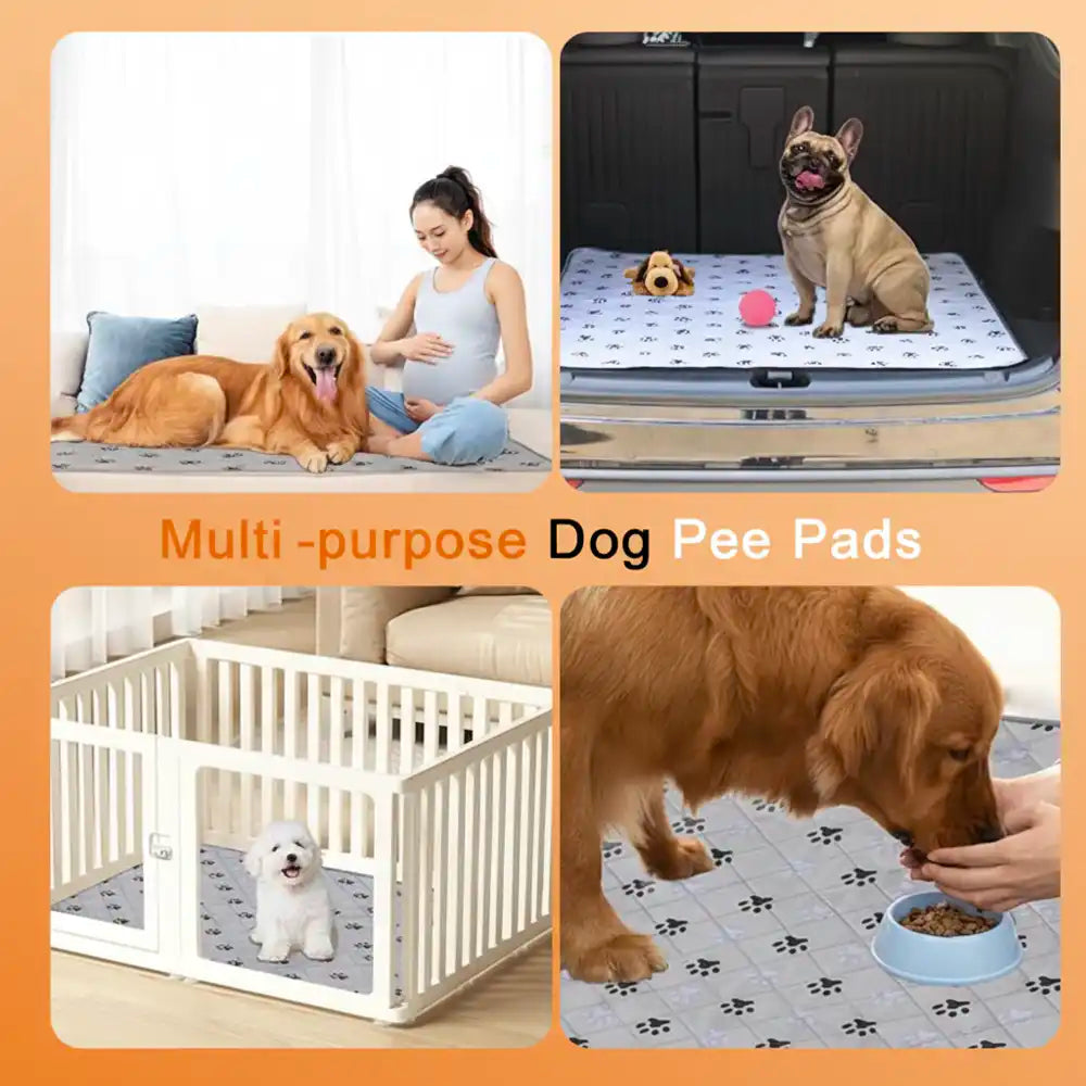 DogCats™ Insta-Dry Bio-Mat (Odor-Lock Tech)