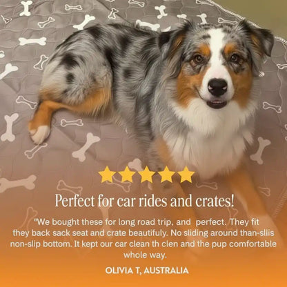 DogCats™ Insta-Dry Bio-Mat (Odor-Lock Tech)