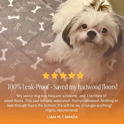 DogCats™ Insta-Dry Bio-Mat (Odor-Lock Tech)