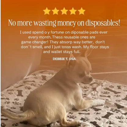 DogCats™ Insta-Dry Bio-Mat (Odor-Lock Tech)